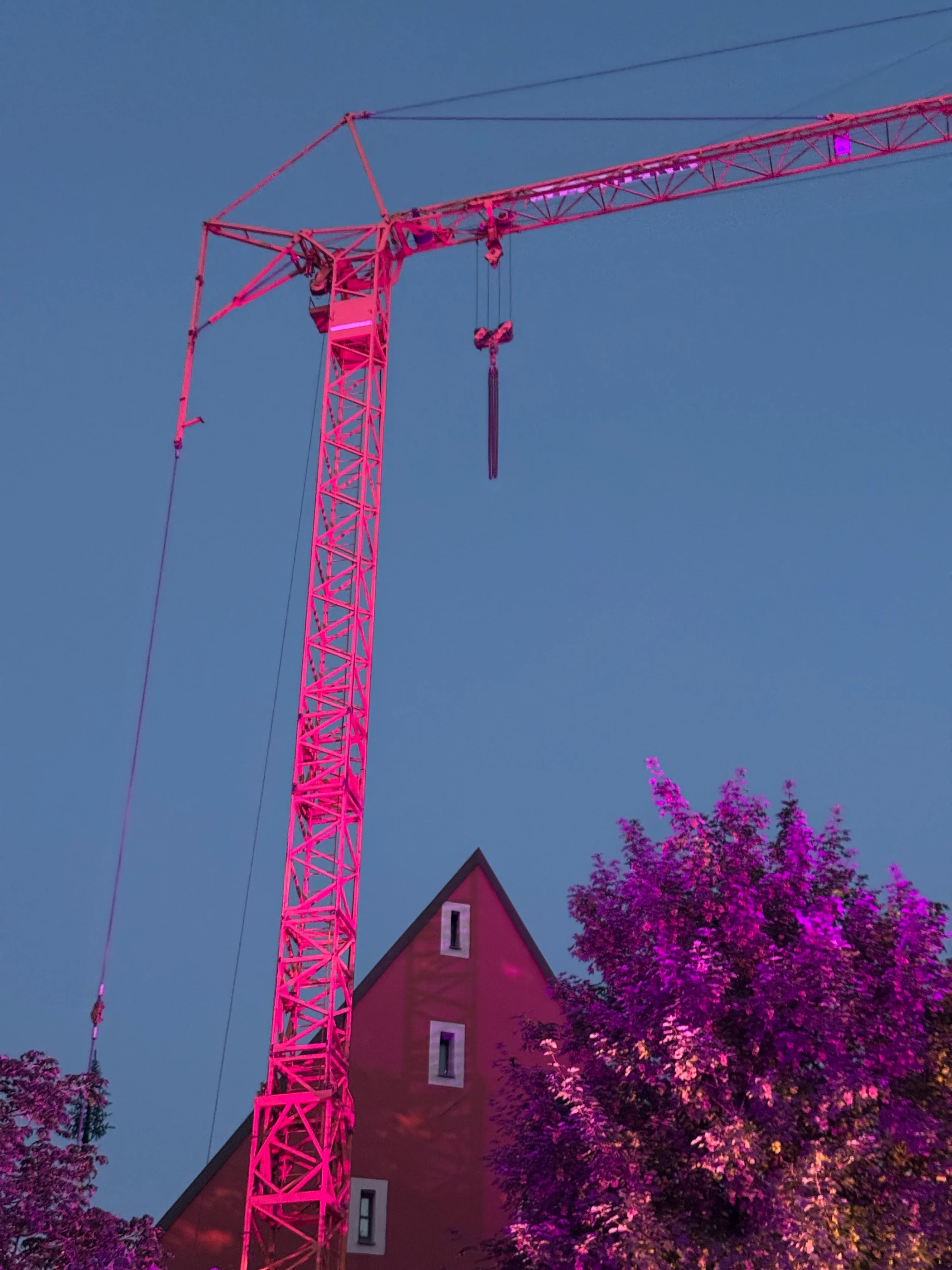 Weiden Bei Nacht